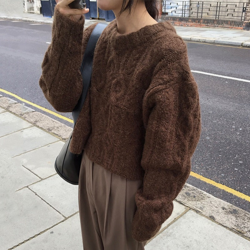 Fried Dough Twists thick needle round neck loose sweater women lazy wind autumn and winter coffee color top